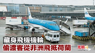 Photo of 藏身飛機機輪 偷渡客從非洲飛抵荷蘭