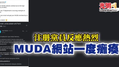 Photo of 注冊黨員反應熱烈  MUDA網站一度癱瘓