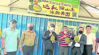 Photo of 甲元首訪勞勿榴槤園 逾20人嚐貓山王讚不絕口