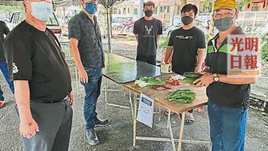 Photo of 大馬一家促銷活動 5元蔬菜配套被搶空