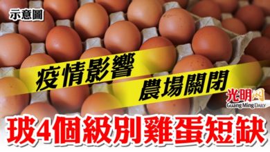 Photo of 疫情影響 農場關閉 玻4個級別雞蛋短缺