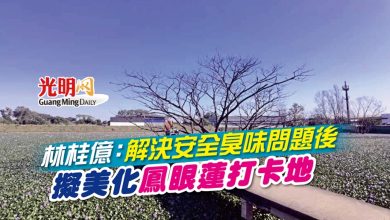 Photo of 林桂億：解決安全臭味問題後 擬美化 鳳眼蓮打卡地