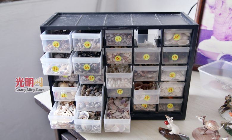 康豐榮將收集到貝殼分類擺放在收納盒中，心血來潮就會做上幾個。