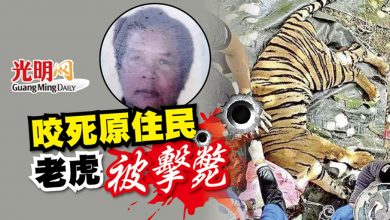 Photo of 咬死原住民 老虎被擊斃