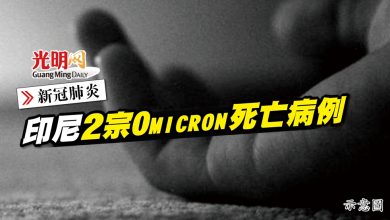 Photo of 【新冠肺炎】印尼2宗Omicron死亡病例