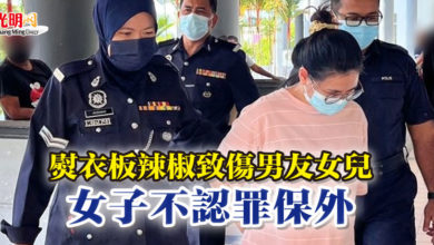 Photo of 熨衣板辣椒致傷男友女兒 女子不認罪保外