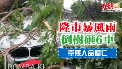 Photo of 隆市暴風雨倒樹砸6車  幸無人命傷亡
