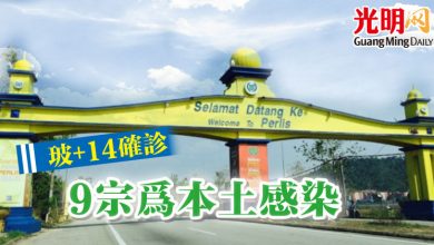 Photo of 玻+14確診 9宗為本土感染