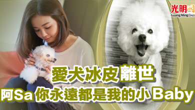 Photo of 愛犬「冰皮」離世 阿Sa：你永遠都是我的小Baby