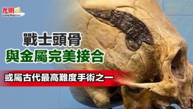 Photo of 戰士頭骨與金屬完美接合 或屬古代最高難度手術之一