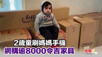 Photo of 2歲童刷媽媽手機 網購逾8000令吉家具