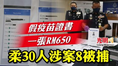 Photo of 假疫苗證書一張RM650  柔30人涉案8被捕