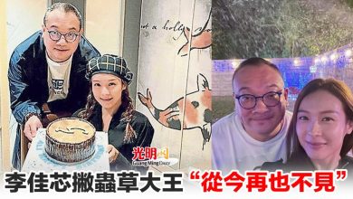 Photo of 李佳芯撇蟲草大王 “從今再也不見”