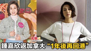 Photo of 鍾嘉欣返加拿大“1年後再回港”