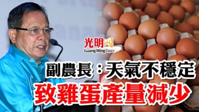Photo of 天氣不穩定  副農長：致雞蛋產量減少