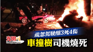 Photo of 疏忽駕駛釀3死4傷 車撞樹司機燒死