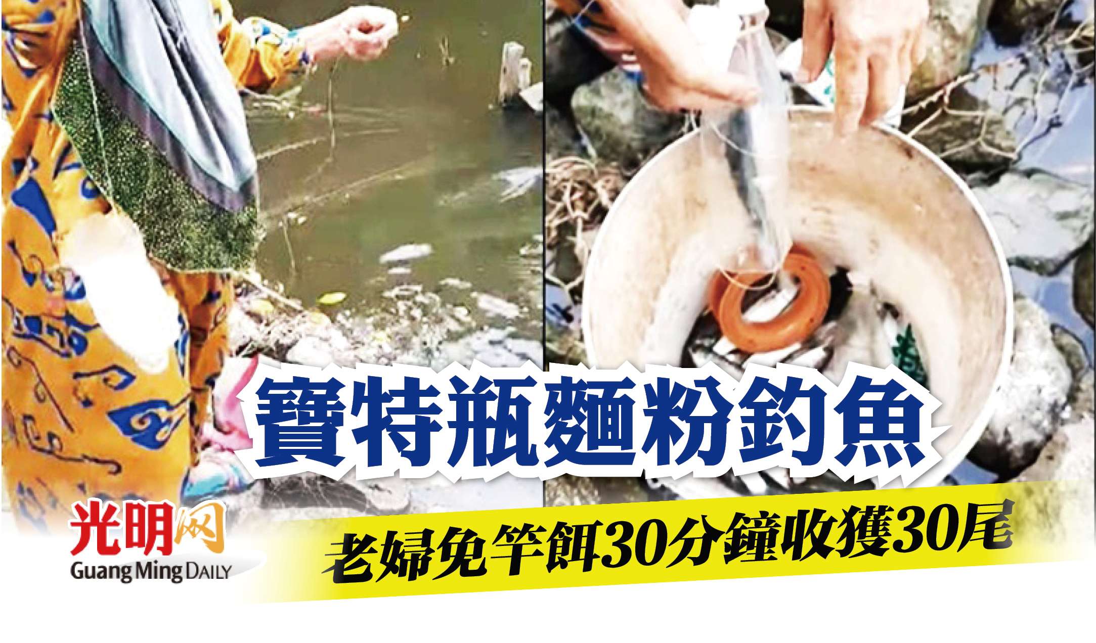 內附視頻 寶特瓶麵粉免竿餌老婦30分鐘釣30尾魚 精選 國內 即時 22 02 17 光明日报