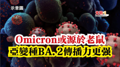 Photo of Omicron或源於老鼠  亞變種BA.2傳播力更強