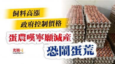 Photo of 飼料高漲 政府控制價格 蛋農嘆寧願減產恐鬧蛋荒