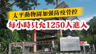 Photo of 太平動物園加強防疫管控  每小時只允1250人進入