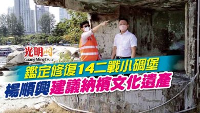 Photo of 鑑定修復14二戰小碉堡 楊順興建議納檳文化遺產