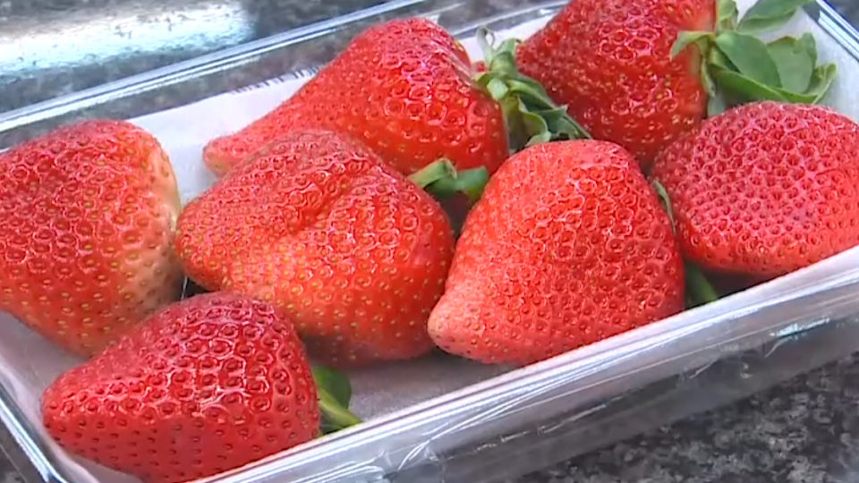 杜汶澤回家打開草莓，卻驚見只有表面第一層是滿滿的草莓