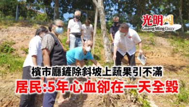 Photo of “5年細心栽種卻在一天全毀” 居民不滿檳市廳鏟除斜坡上蔬果