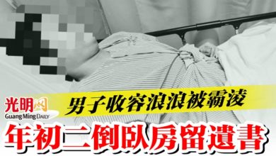 Photo of 男子收容浪浪遭嫌髒霸淩 年初二倒臥房留遺書