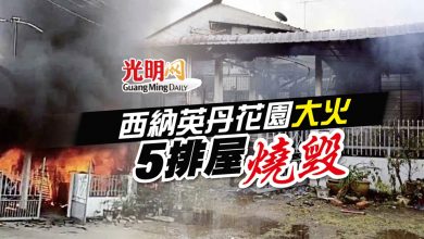 Photo of 西納英丹花園大火 5排屋燒毀