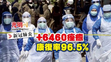 Photo of 【每日疫情匯報】+6460痊癒 康復率 96.5%