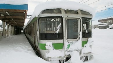 Photo of 日本北海道大雪創紀錄  札幌列車罕見停駛