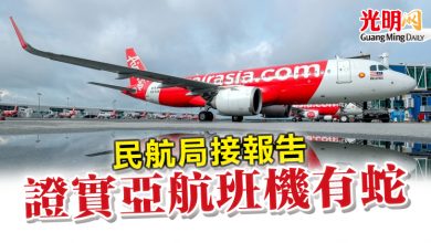 Photo of 民航局接報告 證實亞航班機有蛇