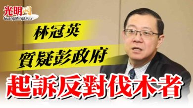 Photo of 林冠英質疑彭政府 起訴反對伐木者