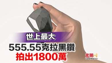 Photo of 世上最大 555.55克拉黑鑽拍出1800萬