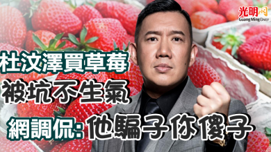 Photo of 杜汶澤買草莓被坑不生氣 網調侃：他騙子你傻子