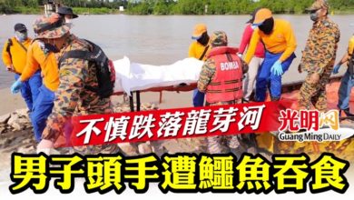 Photo of 不慎跌落龍芽河  男子頭手遭鱷魚吞食