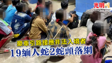 Photo of 豪車引路接應非法入境者   19緬人蛇2蛇頭落網