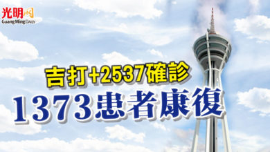 Photo of 吉打+2537確診 1373患者康復