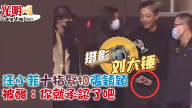 Photo of 汪小菲十指緊扣張穎穎 被酸：你就承認了吧