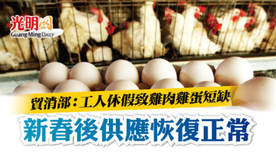Photo of 貿消部：工人休假致雞肉雞蛋短缺 新春後供應恢復正常