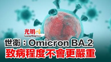 Photo of 世衛：Omicron BA.2致病程度不會更嚴重