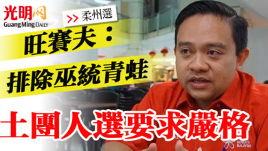 Photo of 【柔州選】旺賽夫：排除巫統青蛙 土團人選要求嚴格