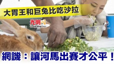Photo of 大胃王和巨兔比吃沙拉 網譏：讓河馬出賽才公平！