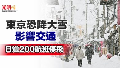 Photo of 東京恐降大雪影響交通  日逾200航班停飛