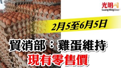 Photo of 2月5至6月5日 貿消部:雞蛋維持現有零售價