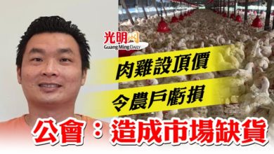 Photo of 肉雞設頂價令農戶虧損  公會：造成市場缺貨