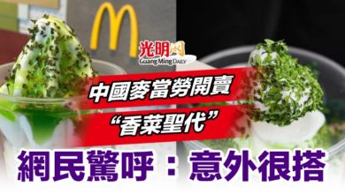 Photo of 中國麥當勞開賣“香菜聖代” 網民驚呼：意外很搭
