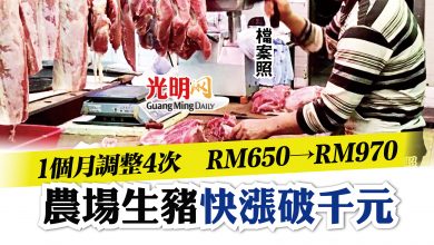 Photo of 農場生豬1個月漲價4次  飼料起價致每百公斤從650漲至970元
