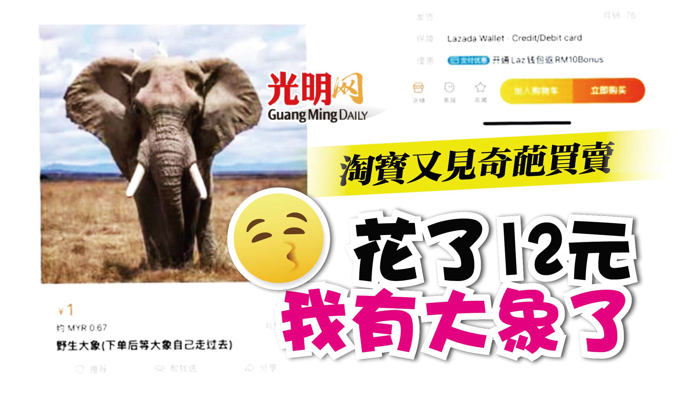 淘寶又見奇葩買賣花了12元我有大象了 精選 即時 國內 22 03 09 光明日报