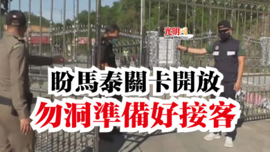 Photo of 盼馬泰關卡開放  勿洞準備好接客